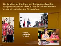 Declaration of rights of indigenous peoples