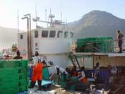 Hake offloading