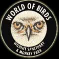 World Of Birds